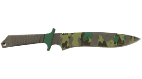 Boreal Forest image