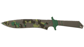 Boreal Forest image