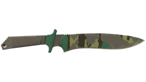 Boreal Forest image
