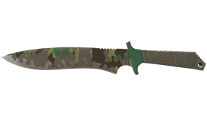 Boreal Forest image