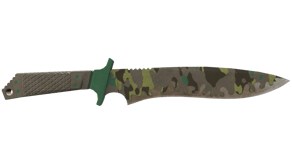 Boreal Forest image
