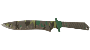 Boreal Forest image