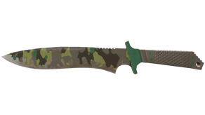 Boreal Forest image