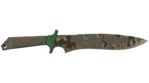 Boreal Forest image