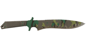 Boreal Forest image