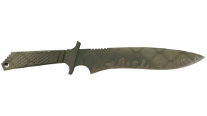 Safari Mesh image