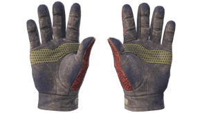 Dragon Fists image