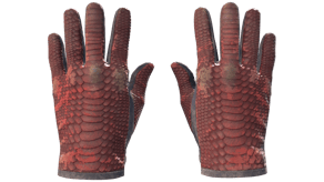 Dragon Fists image