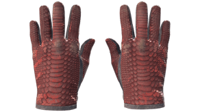 Dragon Fists image