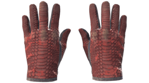 Dragon Fists image