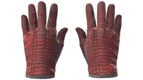 Dragon Fists image