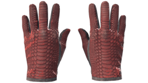 Dragon Fists image