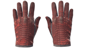 Dragon Fists image