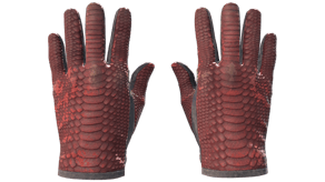 Dragon Fists image