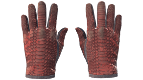 Dragon Fists image