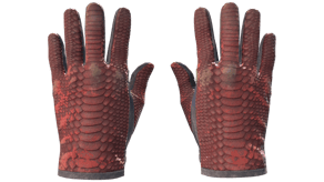 Dragon Fists image