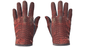 Dragon Fists image