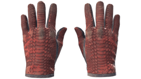 Dragon Fists image