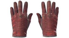 Dragon Fists image