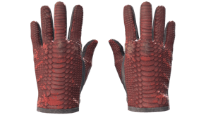 Dragon Fists image