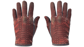 Dragon Fists image