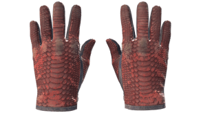 Dragon Fists image