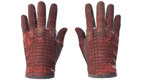 Dragon Fists image
