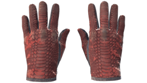 Dragon Fists image