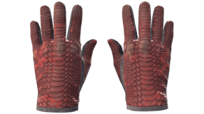 Dragon Fists image