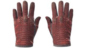 Dragon Fists image