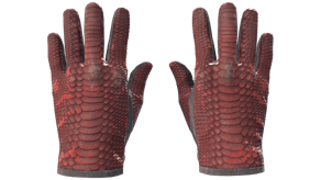 Dragon Fists image