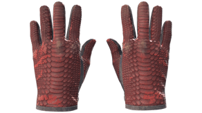 Dragon Fists image