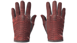 Dragon Fists image