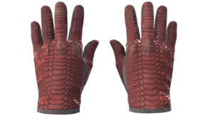 Dragon Fists image