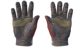 Dragon Fists image