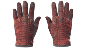 Dragon Fists image
