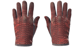 Dragon Fists image