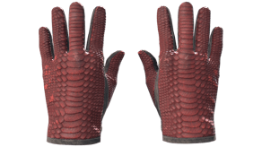 Dragon Fists image