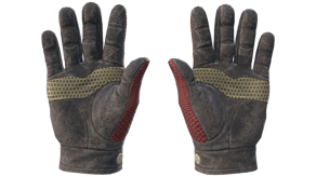 Dragon Fists image