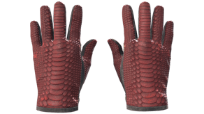 Dragon Fists image