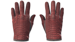 Dragon Fists image
