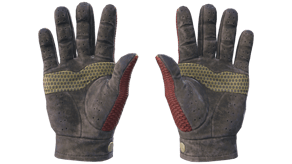 Dragon Fists image