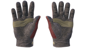 Dragon Fists image