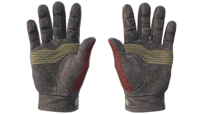 Dragon Fists image