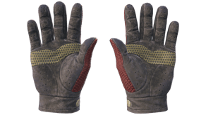 Dragon Fists image