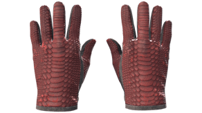 Dragon Fists image