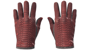 Dragon Fists image