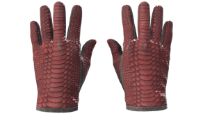 Dragon Fists image