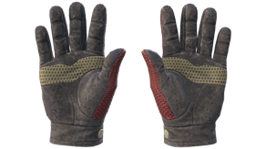 Dragon Fists image