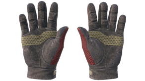 Dragon Fists image